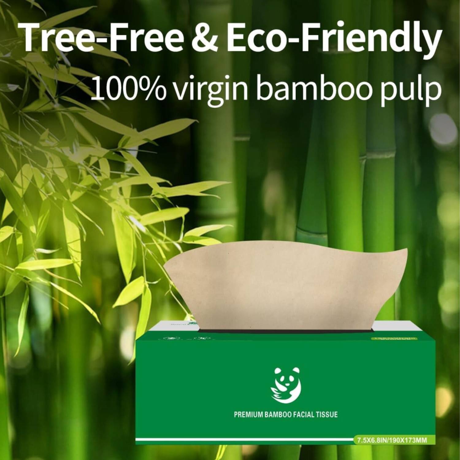 Bamboo Tissues, Bulk 12 Pack Box: image 7