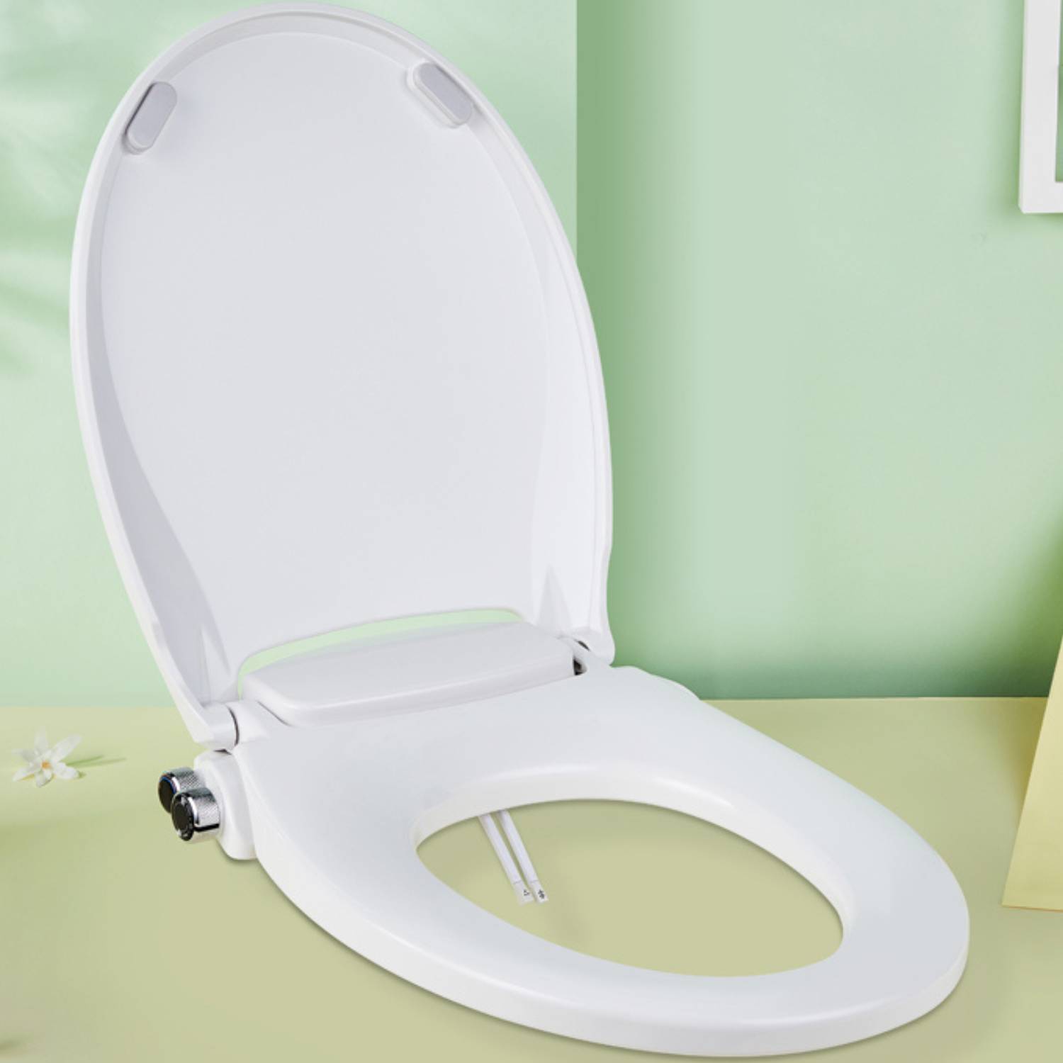 Toilet Seat and Bidet: image 3